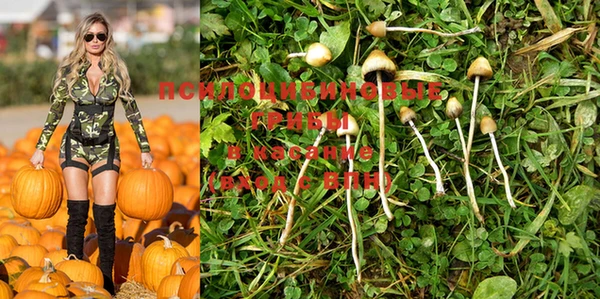 крисы Михайловск