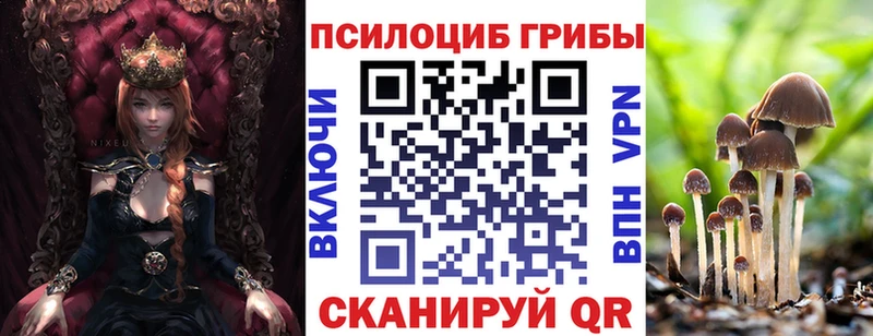 Галлюциногенные грибы прущие грибы  Купить  Агрыз 